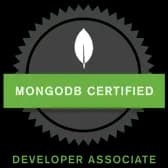 MongoDB | Evonix Studio